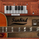Sunbird Sunbird