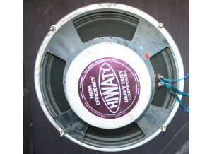Hiwatt Fane Speakers (98956)