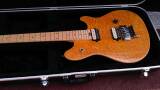 Peavey Wolfgang Special