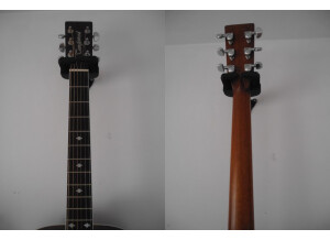 Tanglewood TW15 NS (39342)