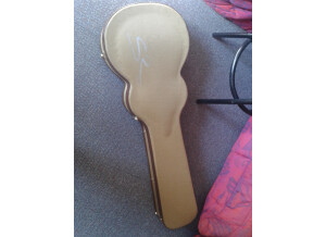 SR Guitars SRLP Origin - Cherry Sunburst Flamed (29127)