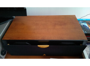 Fender Super Champ XD (1429)