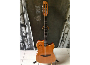 Godin Multiac Duet Steel (45373)