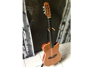 Godin Multiac Duet Steel (9110)