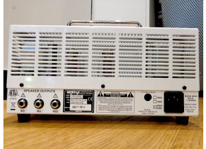 Orange TinyTerror TT15H