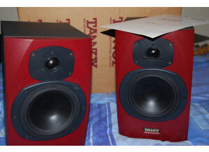 Tannoy Reveal (2396)