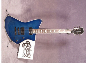 Fernandes Vertigo elite (4736)