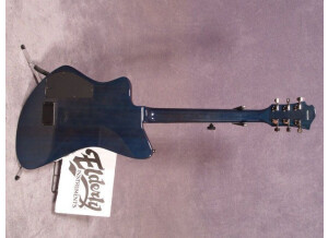 Fernandes Vertigo elite (39660)