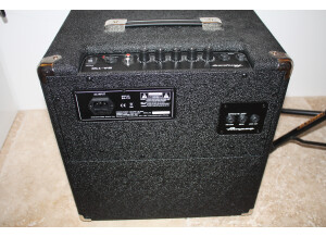 Ampeg BA-110 (93768)