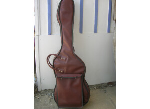 Tokai Guitars 1980 Springy Sound ST 80