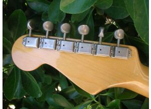Tokai Guitars 1980 Springy Sound ST 80