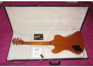 Gibson RD Standard Exclusive - Trans Amber (70144)