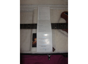 Gibson RD Standard Exclusive - Trans Amber (490)