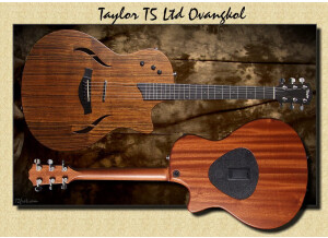 Taylor T5 ovangkol LTD edition limitée 2009