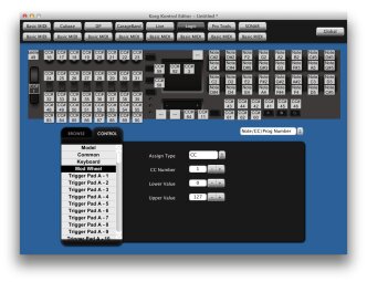 Korg taktile 49 Korg taktile 49