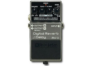 Boss RV-3 Digital Reverb/Delay (89)