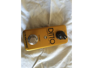 TC Electronic Ditto Looper Gold (45170)