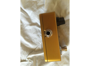 TC Electronic Ditto Looper Gold (42329)