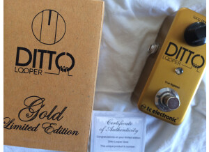 TC Electronic Ditto Looper Gold (92898)