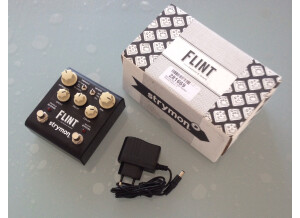 Strymon Flint (91306)