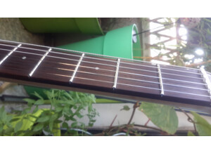 Music Man Steve Morse - Morse Blue Burst