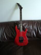 Hohner ST victory