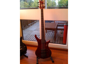 Vigier passion III 5 cordes