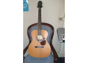 Epiphone Masterbilt EF500R