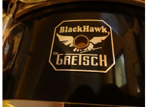 Gretsch black hawk (53622)