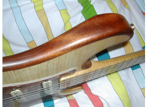 Luthier Lutherie guitare et basse