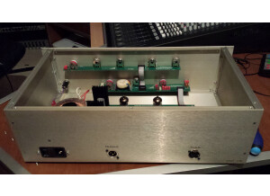 Aml ezP-1A Clone (31895)