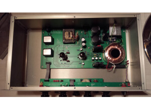 Aml ezP-1A Clone (36101)