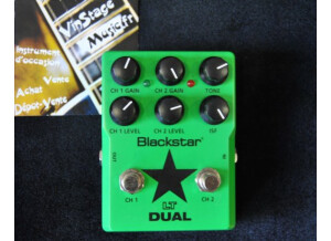 Blackstar Amplification LT Dual (7138)