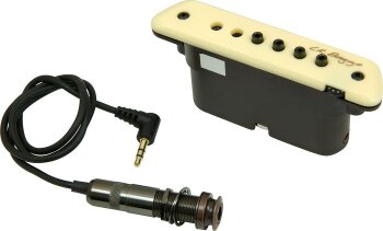LR Baggs M1 LR Baggs M1