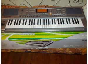 Roland EXR-5 (13900)