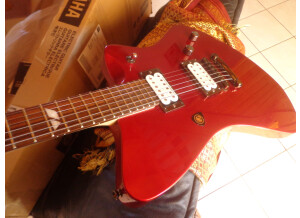 Fernandes Vertigo elite (29518)