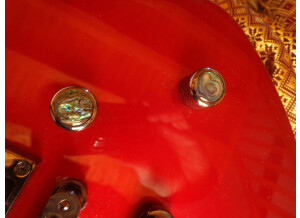 Fernandes Vertigo elite (18371)