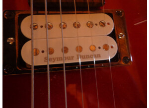Fernandes Vertigo elite (10796)