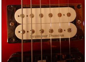 Fernandes Vertigo elite (83563)