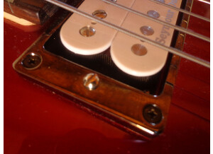Fernandes Vertigo elite (46754)