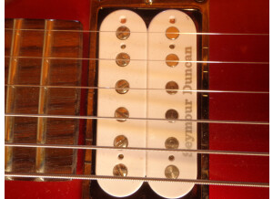 Fernandes Vertigo elite (38133)