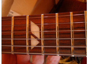Fernandes Vertigo elite (40722)