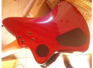 Fernandes Vertigo elite (99517)