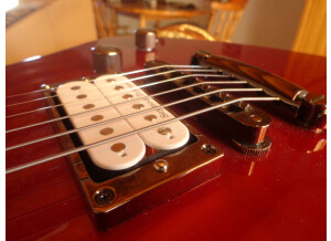 Fernandes Vertigo elite (3700)
