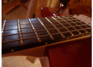 Fernandes Vertigo elite (52635)