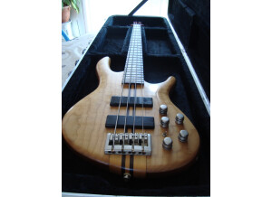 Cort Guitare Basse Cort Naturel A4 OPN