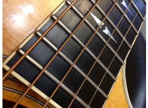 Taylor 810ce (16534)