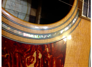 Taylor 810ce (22818)