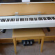 Arius YDP-S30 Arius YDP-S30