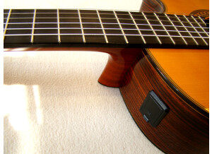 Yamaha GCX31C (82635)